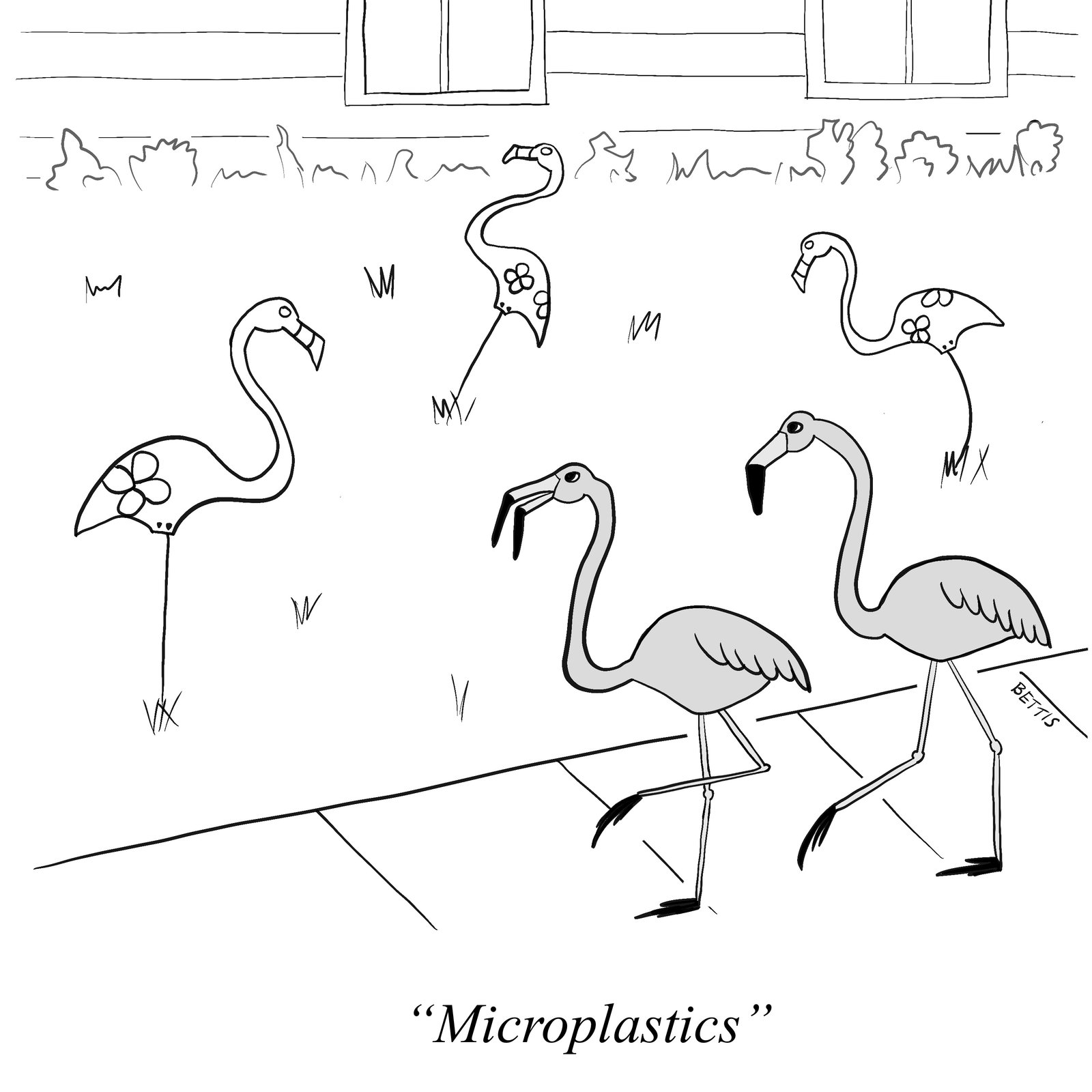 Cartoon 6